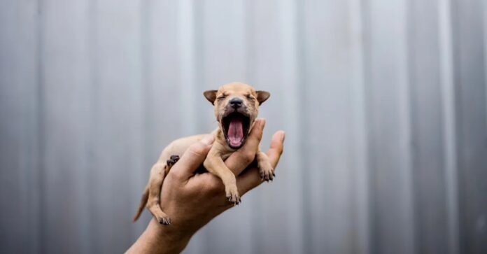 fe7c104c-e3c8-454a-b737-18c1d67d5f38