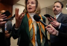 Пілоси про політику, владу та майбутнє демократії