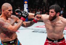 UFC 320: Ankalaev vs. Pereira 2 – So sehen Sie live zu