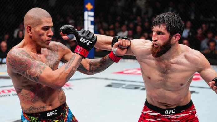 fa50cecf-5a6d-439f-aa9d-849feeb20784