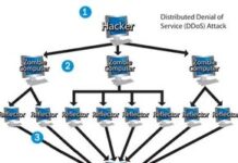 Як ботнети та рефлектори забезпечують роботу сучасних DDoS-атак